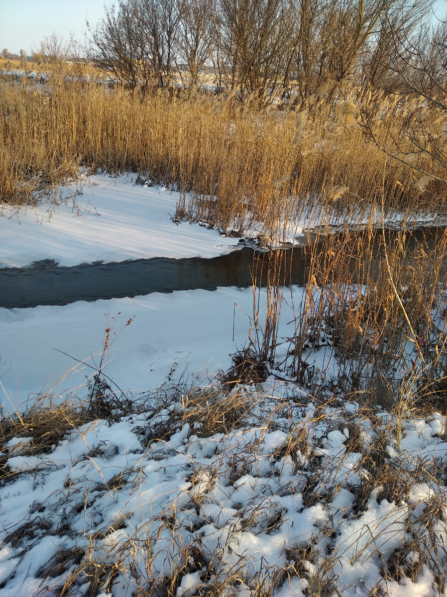 Где течение река не замерзает, так нравится как там журчит вода.