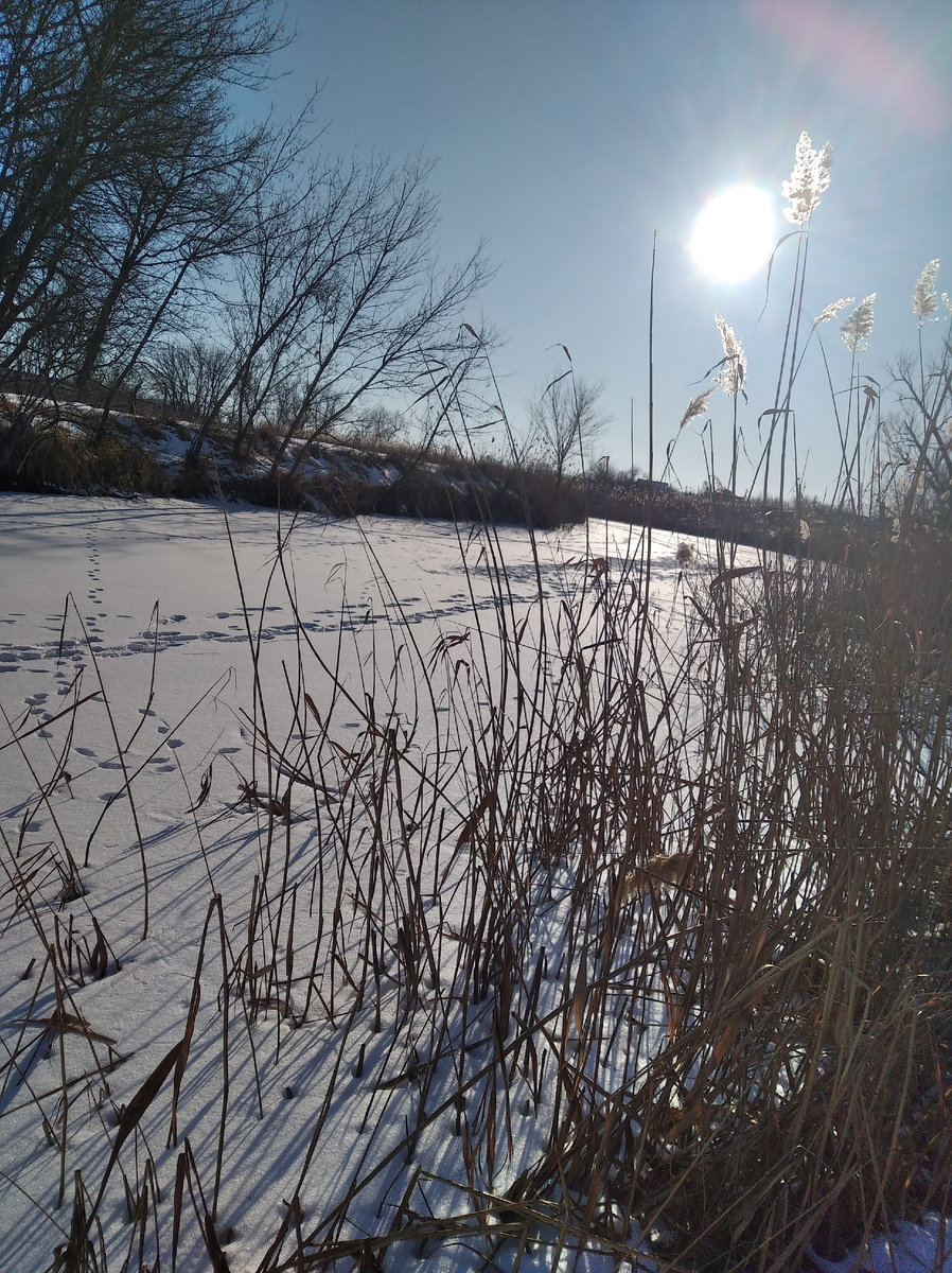 Солнышко, мы так скучали.