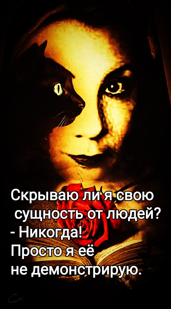 Фотоколлаж автора статьи 