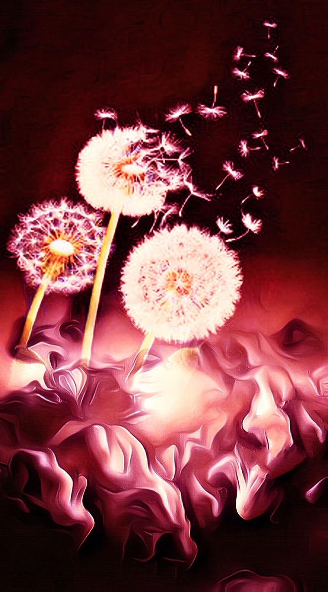 Фотоколлаж автора статьи 