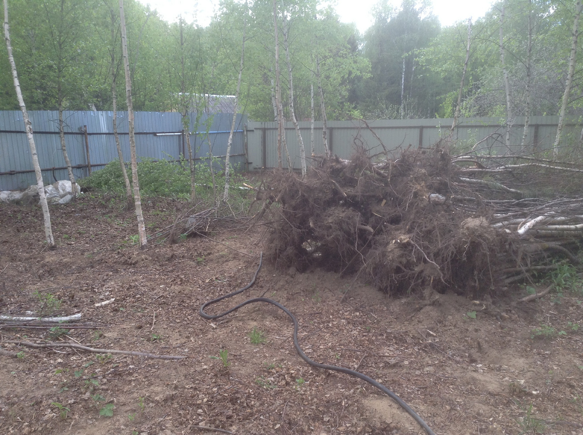 контуры огорода уже видны: Практически закончили корчевать березняк. все березы что еще стоят, летом были спилены и до следующей весны утилизированы 