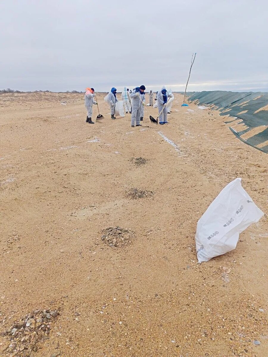 20 февраля 2025г. Фото автора.