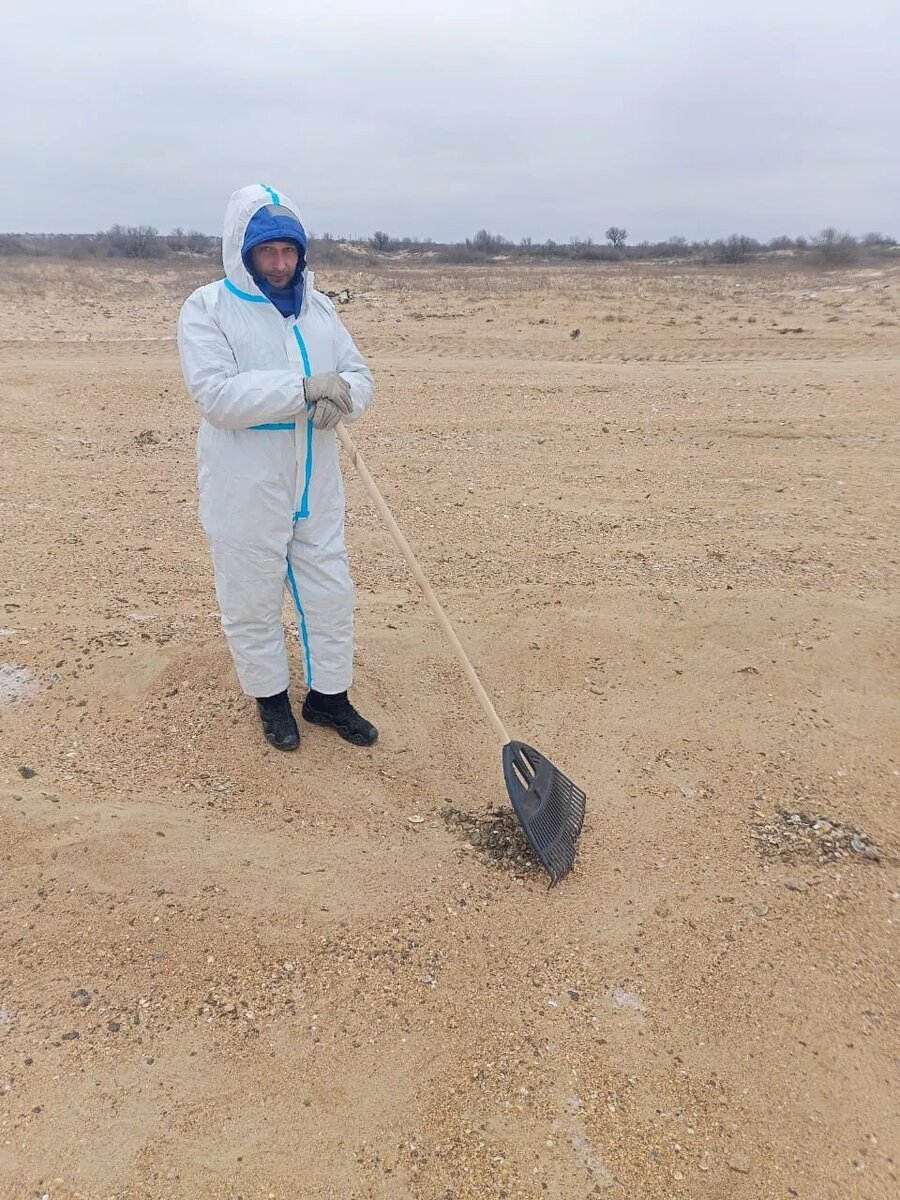 Сбор мелких фракций мазута с поверхности песка.
