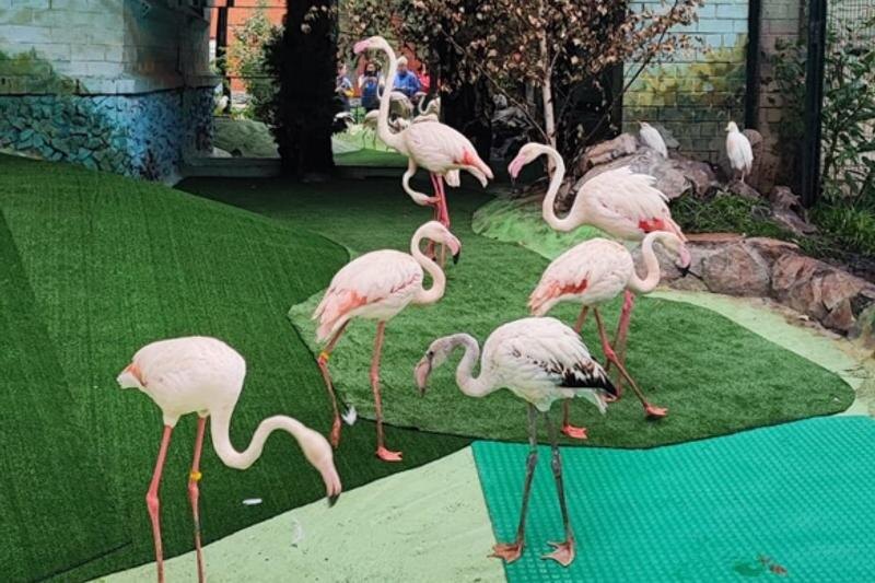    Зоопарк Екатеринбурга