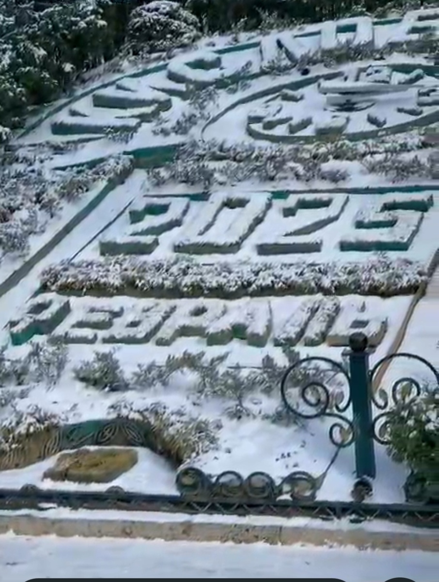 Цветочный календарь