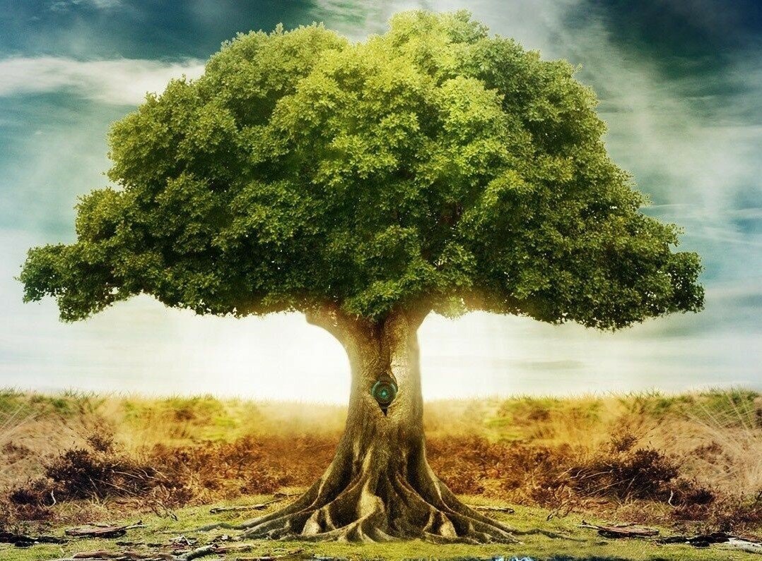 Родовое древо