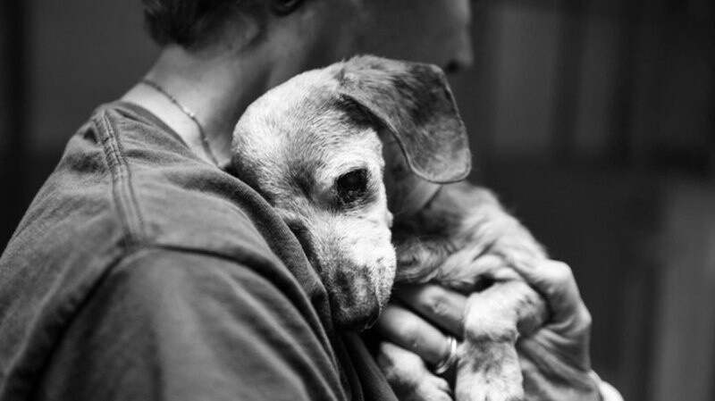 Фото из Яндекса