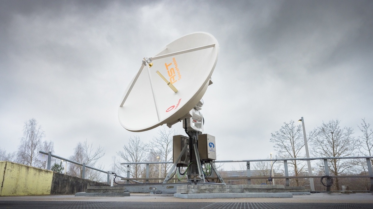 Фото: Vodafone  📷
