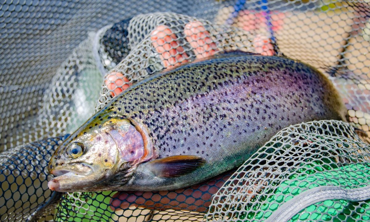    Фото unsplash.com