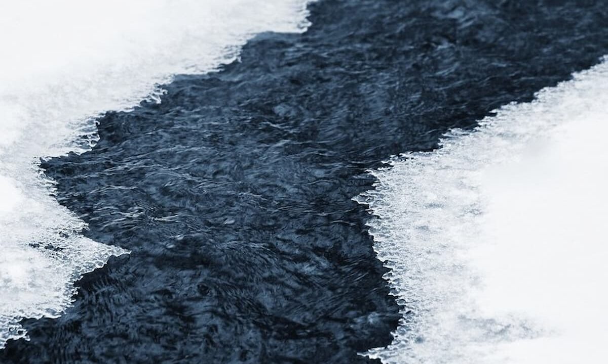    Фото freepik.com