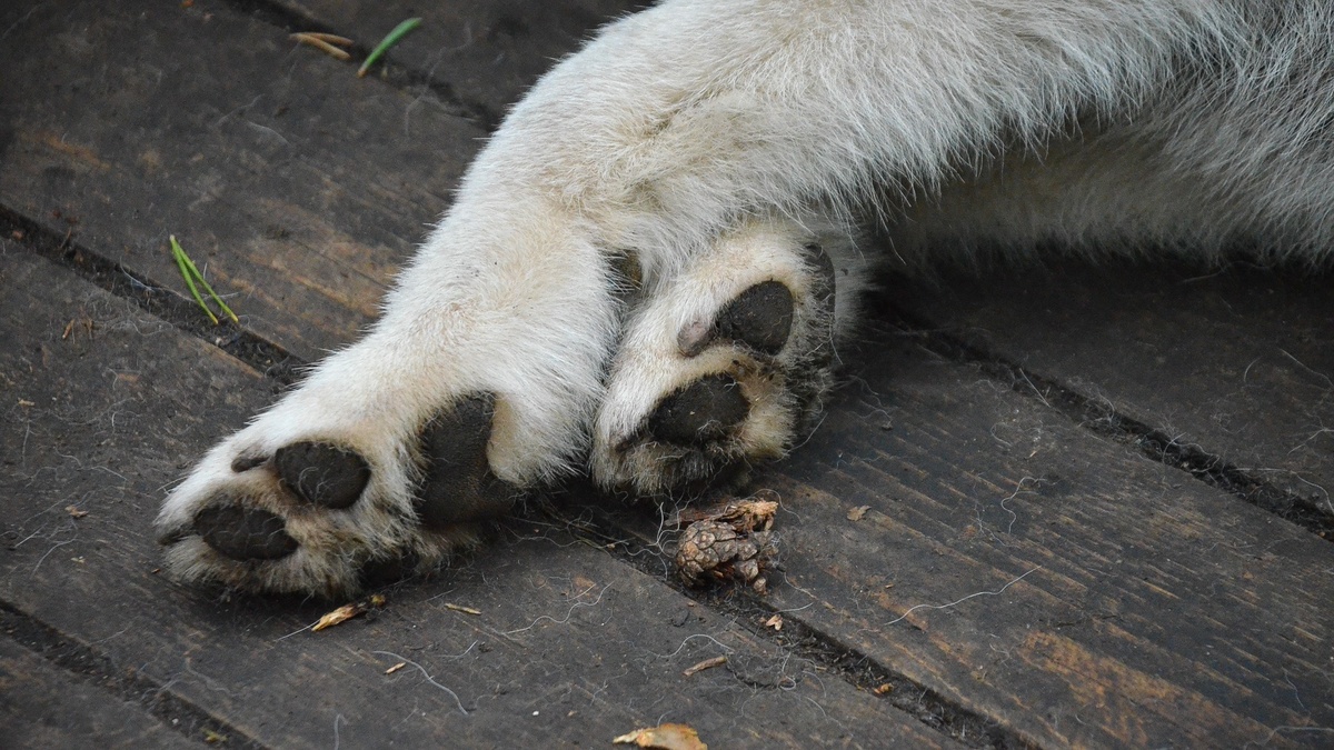     Источник: 1MI