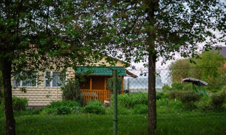    Фото: Общественная Служба Новостей Дарья Федотова