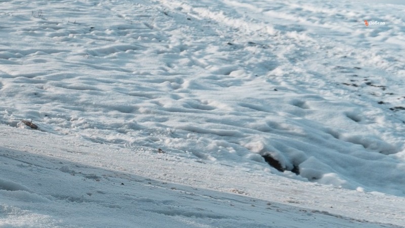      Фото: ИА «Победа26»