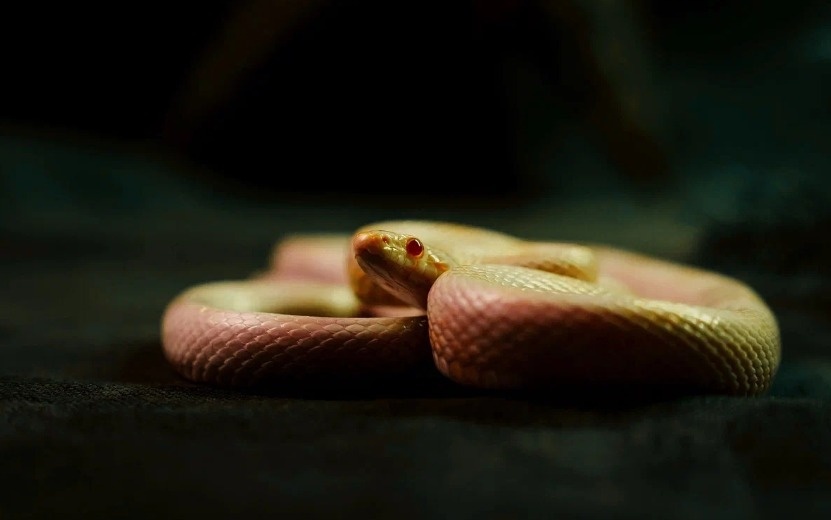    Гороскоп на 21 февраля 2025 года: Овнам стоит избегать завистников, а Львам лучше не идти на конфликт