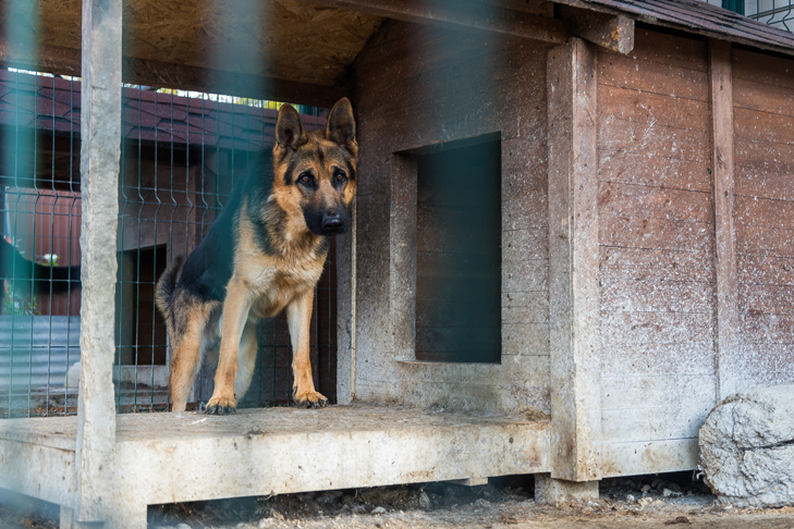    Фото Андрея Заржецкого