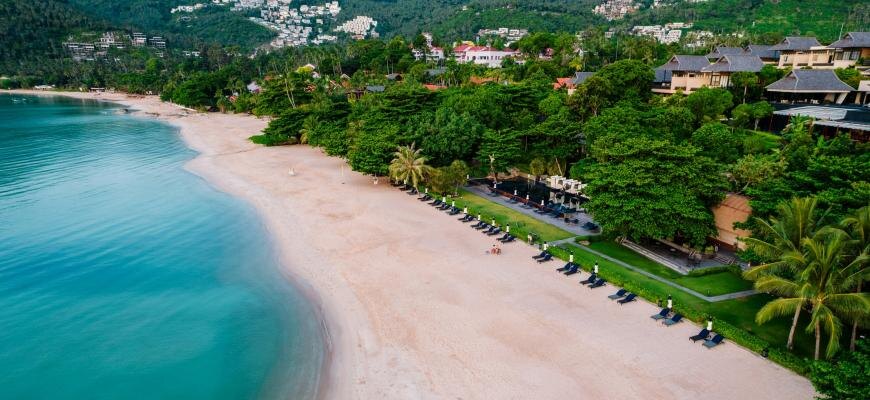 Photo by Antonio Araujo on Unsplash