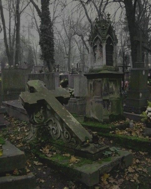 Кладбища — это не только места, где покоятся усопшие, но и настоящие хранилища истории, культуры и искусства. Каждое кладбище несет в себе уникальную информацию о своих жителях, о мировоззрении эпохи, в которую они жили, и об облике общества в целом. В этой статье мы рассмотрим, как кладбища отражают различия в культуре, строительстве и верованиях, и почему они являются важными историческими объектами.