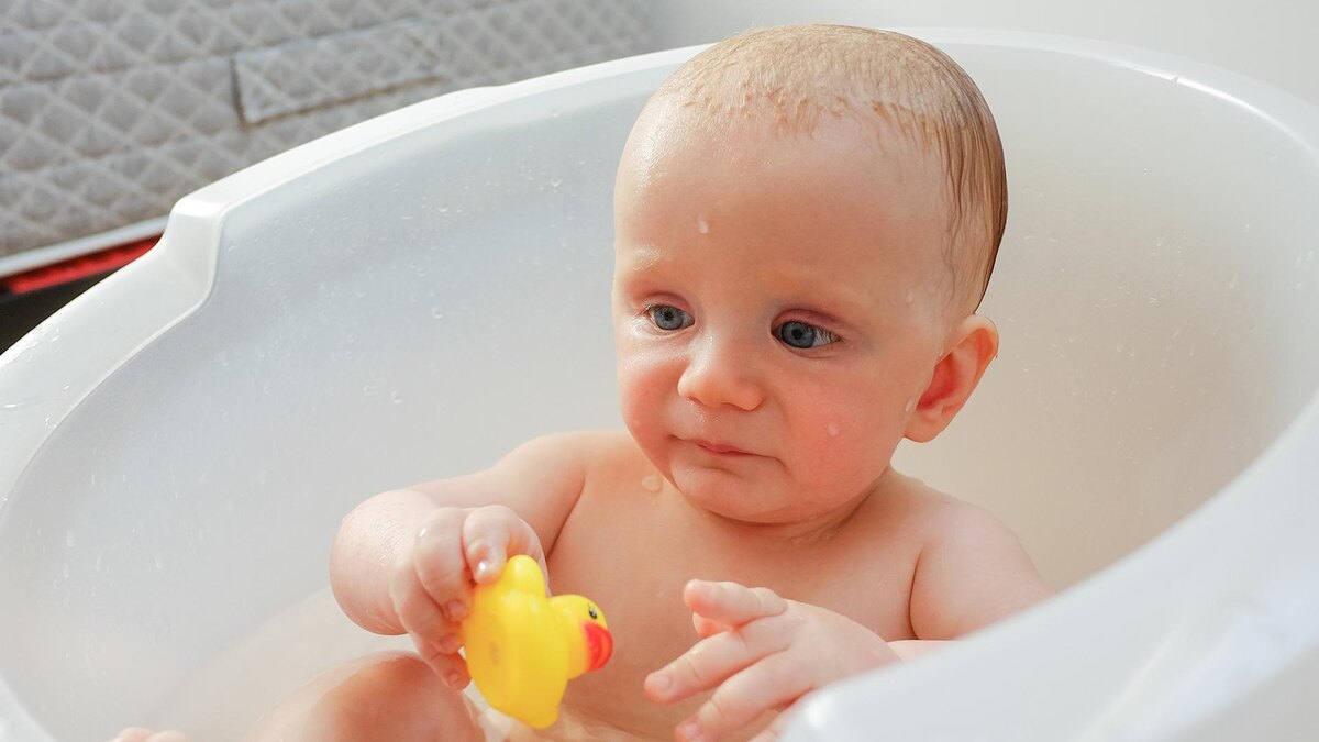    Фото: freepik.com/pch.vector