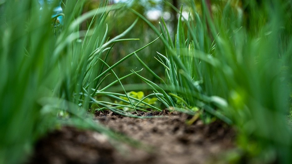Фото здесь и далее Unsplash