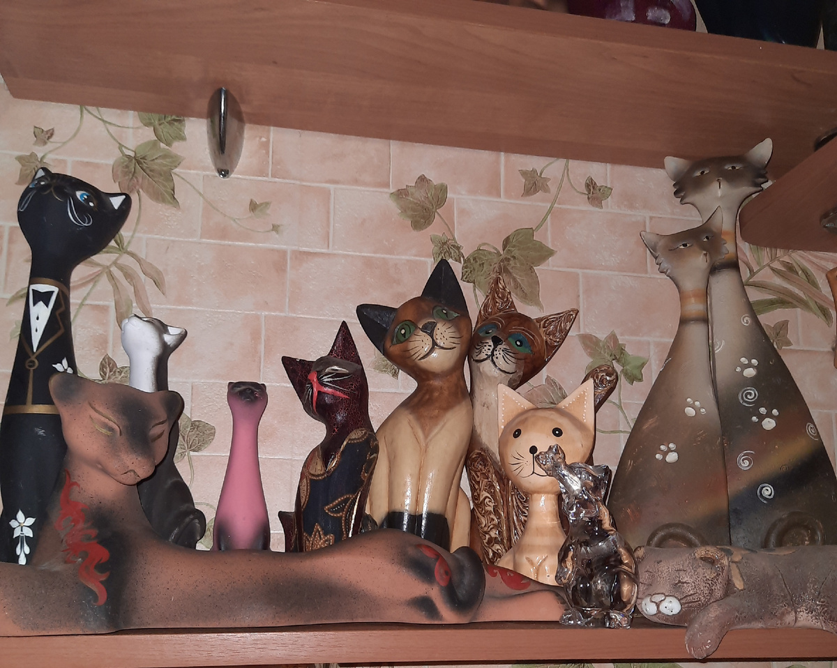 Одна из полочек, коллекции