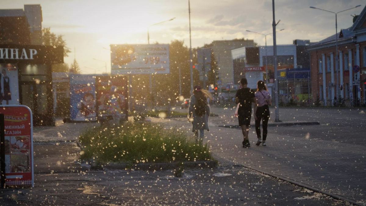 Фото: Алина Гурицкая. atas.info. Ожидается жара
