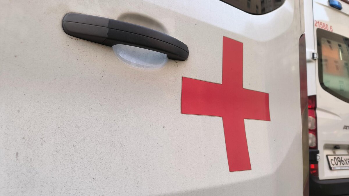    Фото: Maksim Konstantinov/globallookpress.com