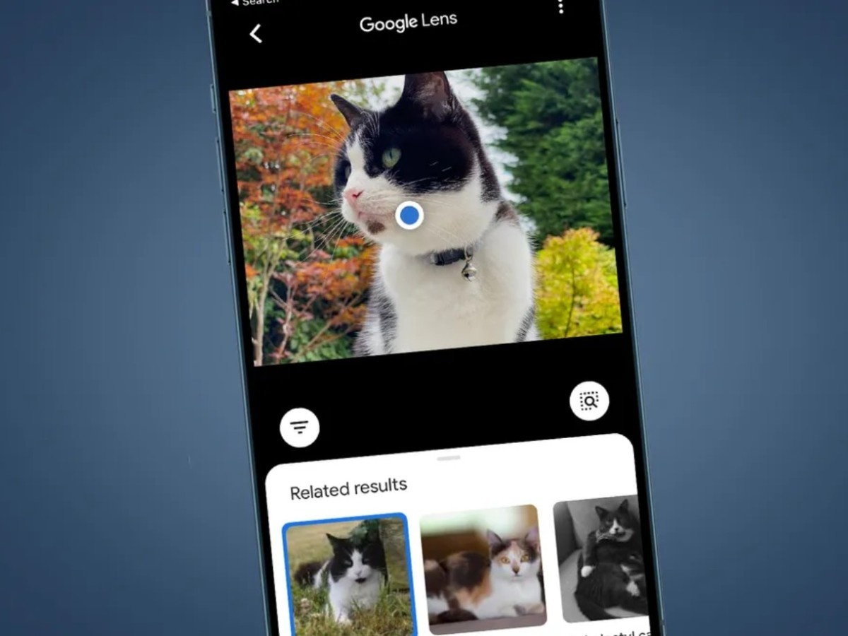    Пользоваться Google Lens на iPhone стало намного удобнее