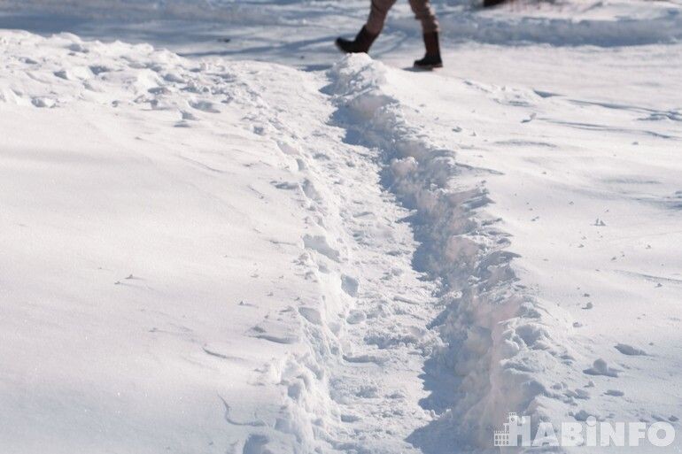    Фото: Ольга Цыкарева