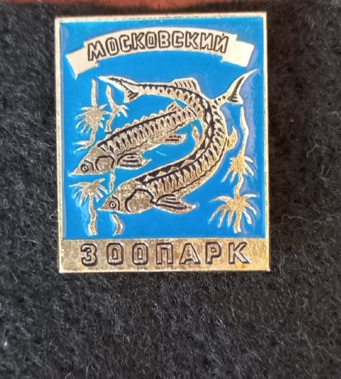 Фото из личной коллекции