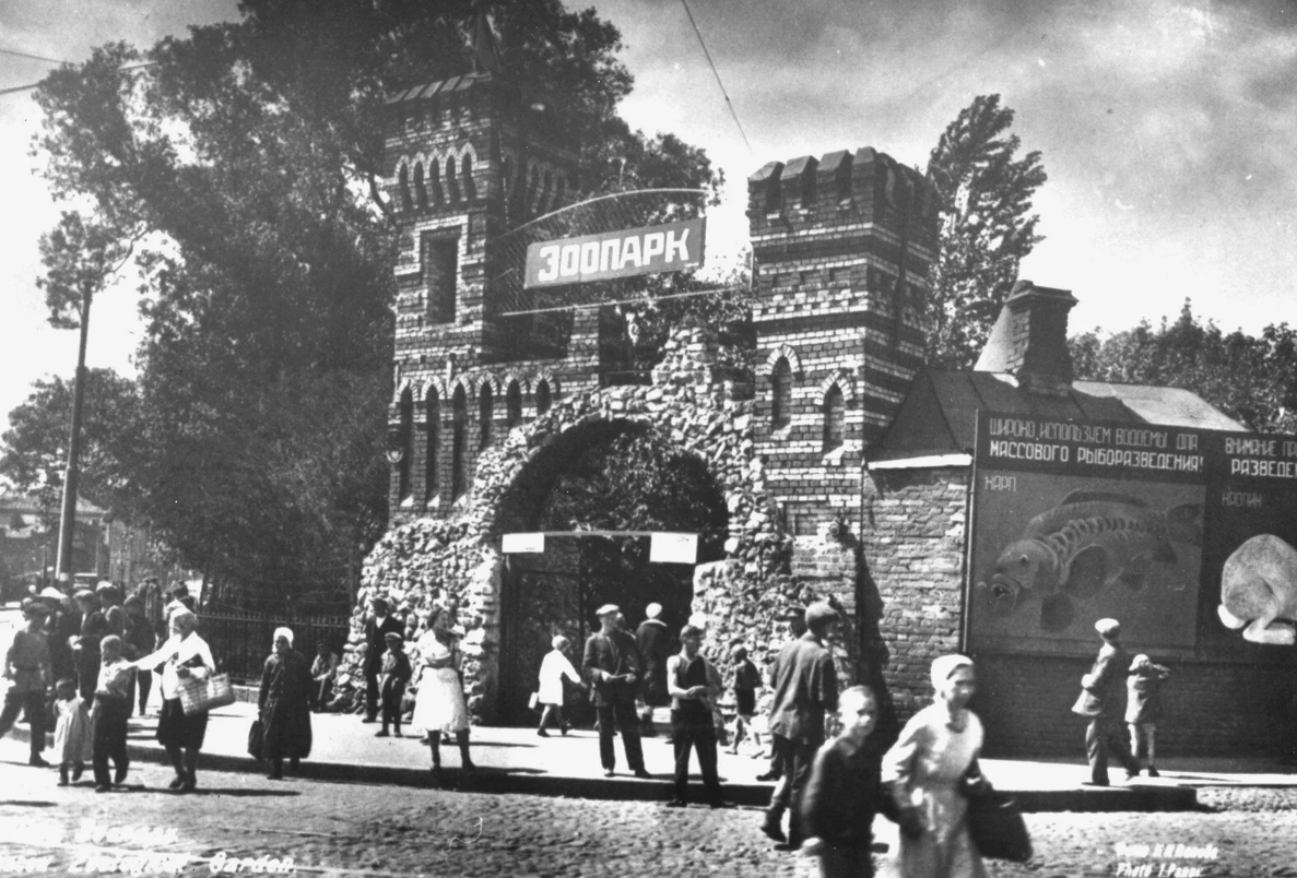 Фото: Яндекс-Картинки.