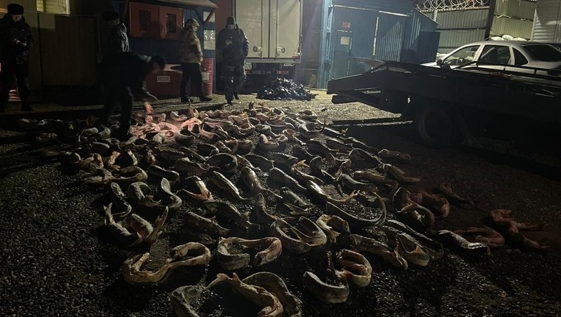      Фото: ГУ МВД РФ по СКФО