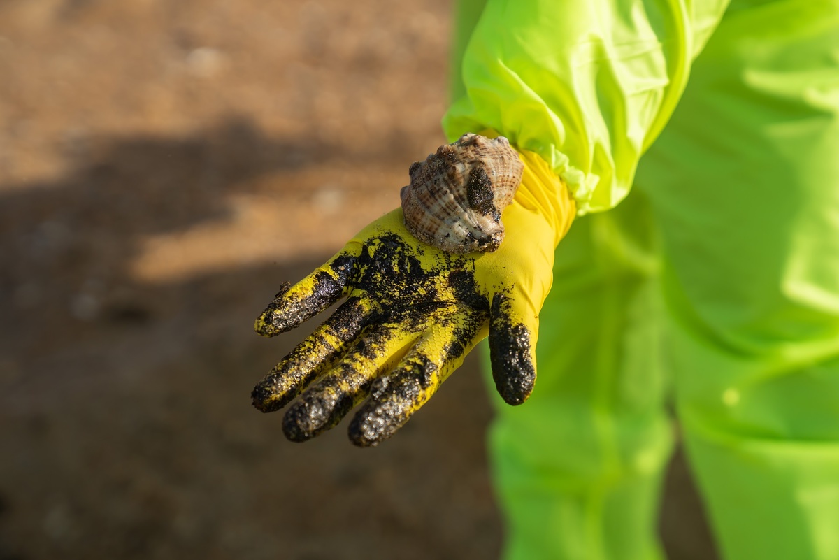 фото: Евгений Грох/Пресс-служба Субтропического научного центра РАН  📷
