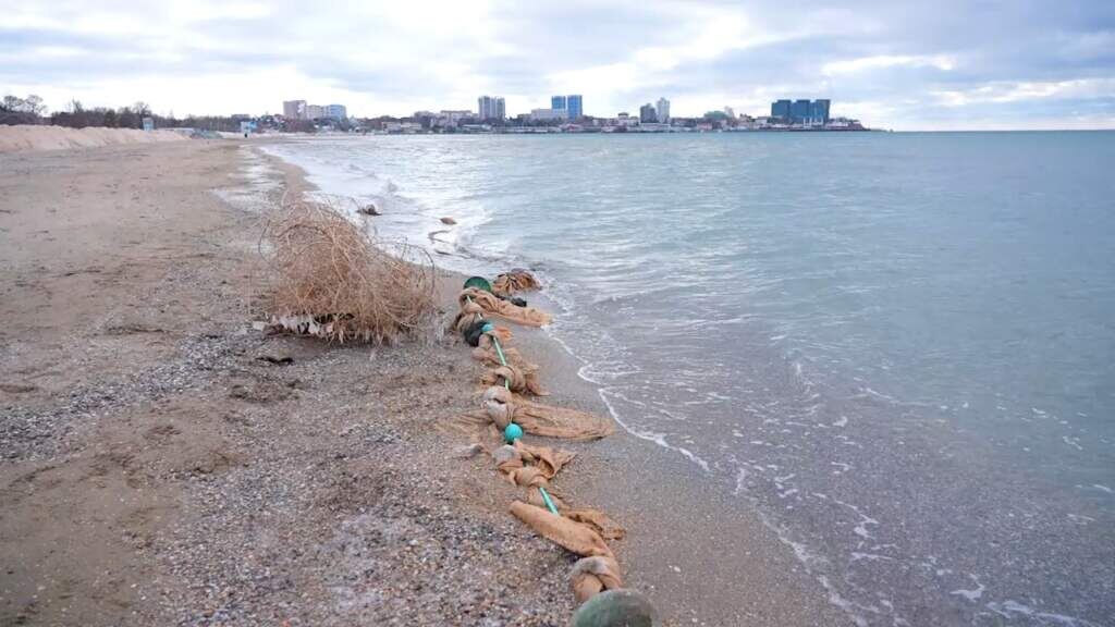 Изображение взято с сайта anapa.media