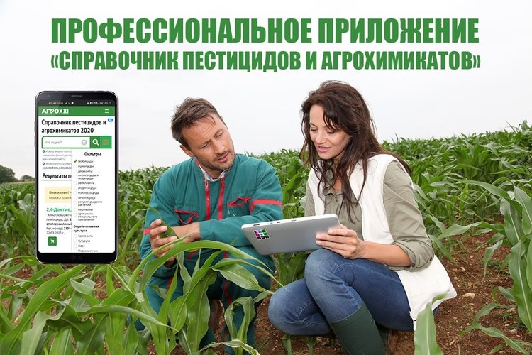    Портал AgroXXI усовершенствовал справочник пестицидов и агрохимикатов в 2025 году