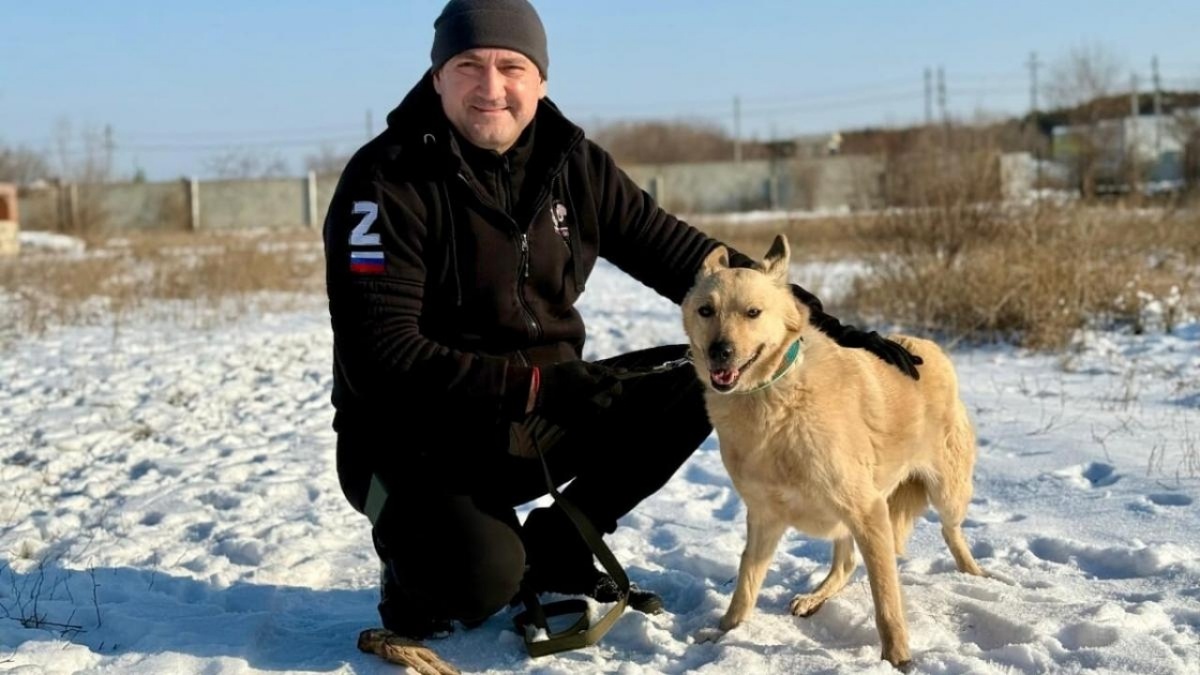    Вячеслав Калинин поддержал саратовский приют «Верность» Новости Саратова и области – Сетевое издание «Репортер64»