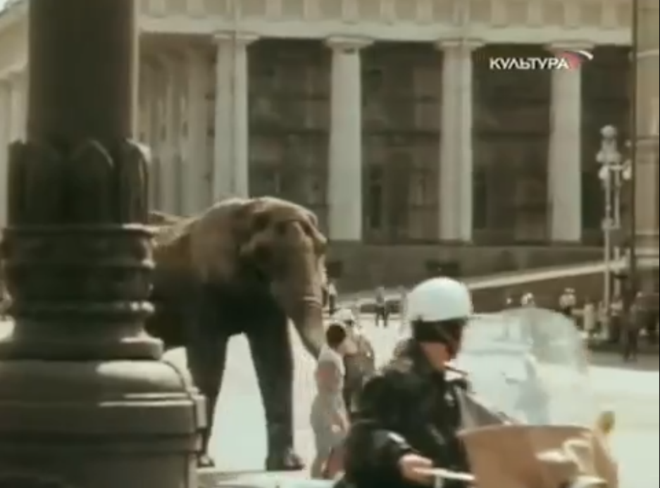 Кадр из фильма "Боба и слон" (1972)
