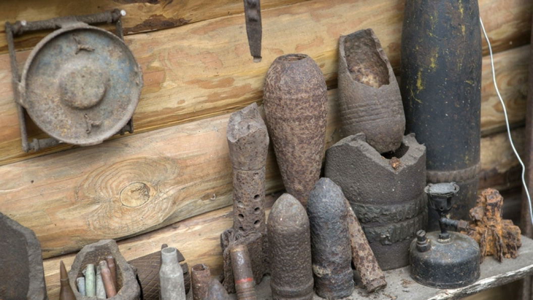    Фото: NIKOLAY GYNGAZOV/GLOBALLOOKPRESS