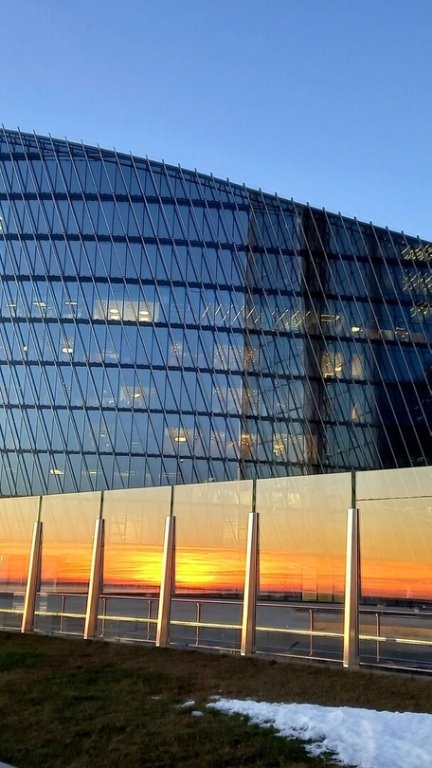 Фото: Ирина Петрова, https://vk.cc/cILGKR