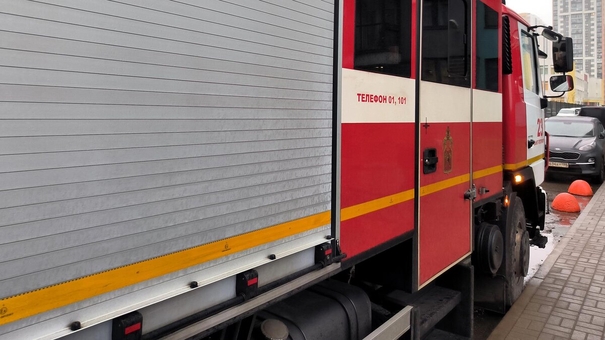    Фото: Maksim Konstantinov/globallookpress.com