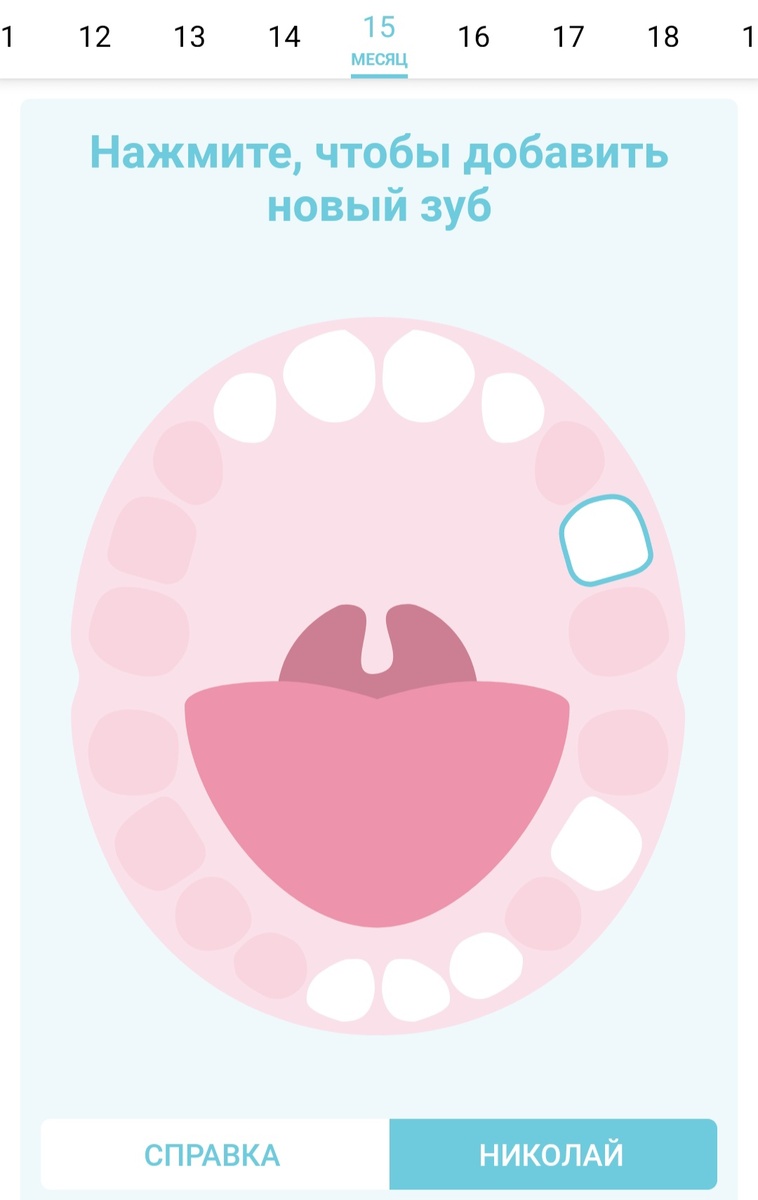 Колина схема зубов