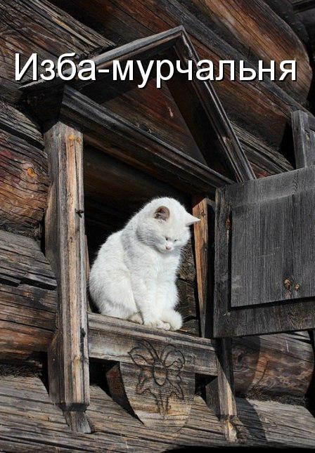 Милости просим к нашему шалашу.