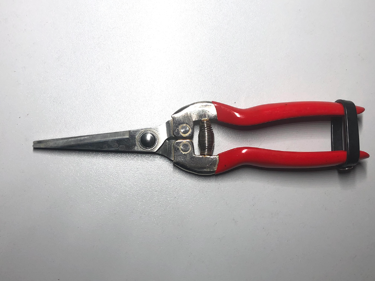 Мой рабочий секатор для комнатных цветов и рассады