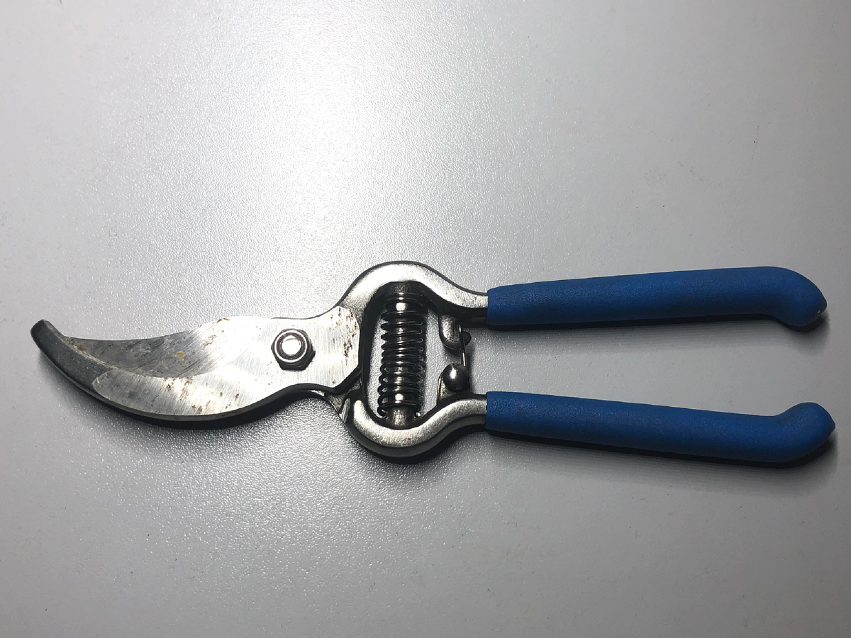 Такого типа секаторы я покупаю практически каждый год. Они постоянно в использовании