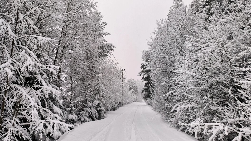    Maksim Konstantinov/Globallookpress