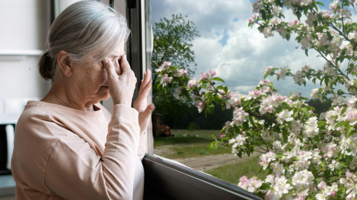 Когда яблони цветут