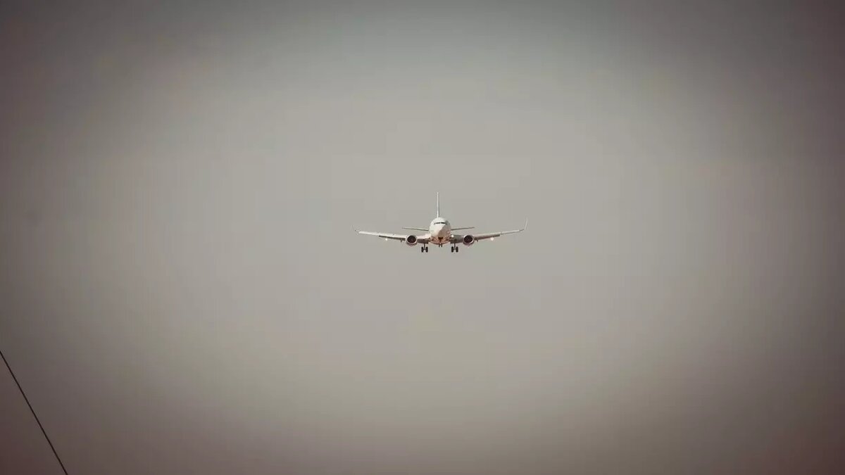     Источник: 1MI