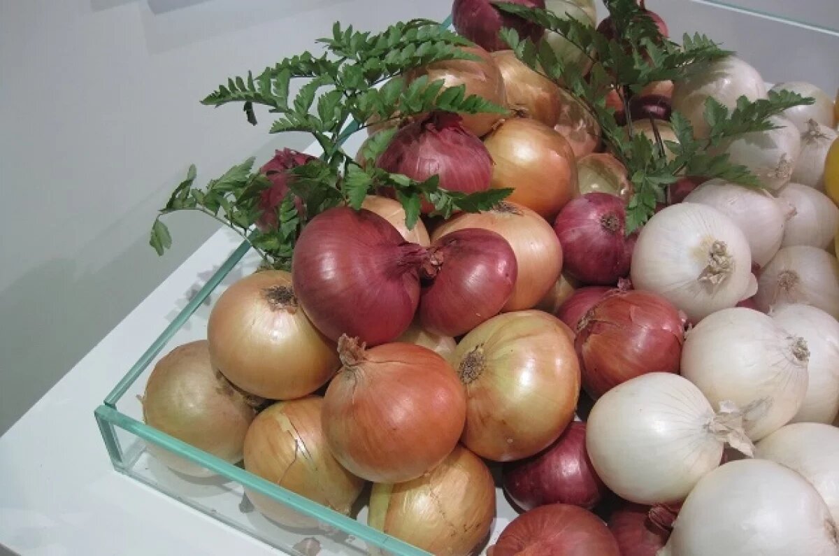    Диетолог Мухина: лук и печень трески помогут поддержать здоровье лёгких