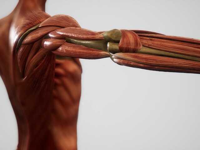    Фото: 123RF/icetray