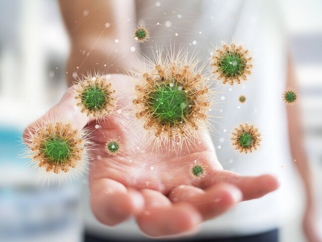    Фото: 123RF/sdecoret