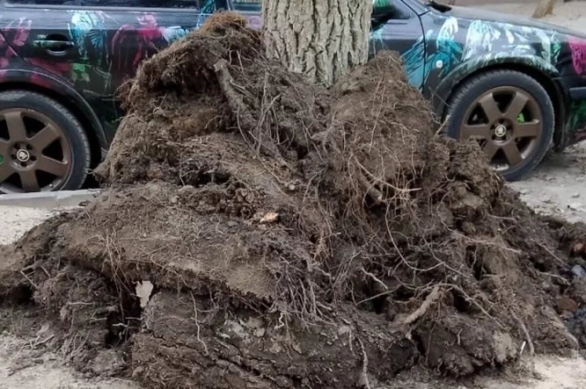    Волгоградцам показали, что бросают их соседи в канализацию